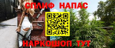 дмт Гатчина