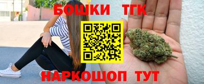 дмт Гатчина