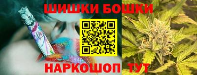 дмт Гатчина