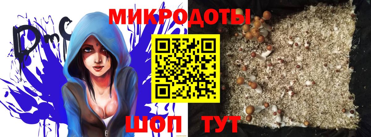Галлюциногенные грибы мицелий Гусиноозёрск