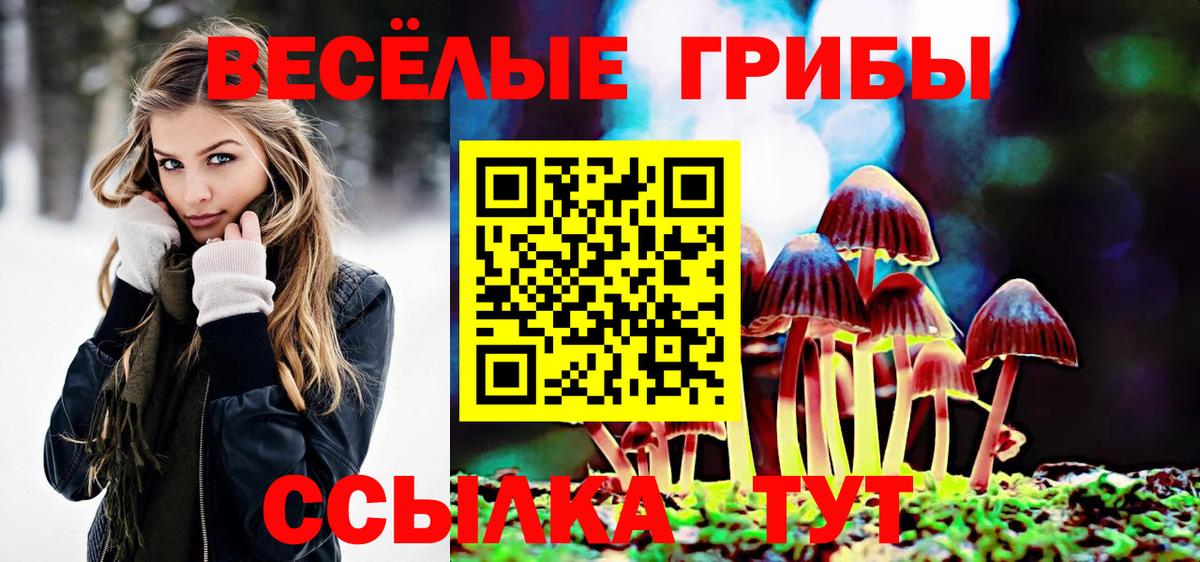 Псилоцибиновые грибы GOLDEN TEACHER  купить  сайты  Гусиноозёрск  Галлюциногенные грибы мицелий  Вход с VPN 
